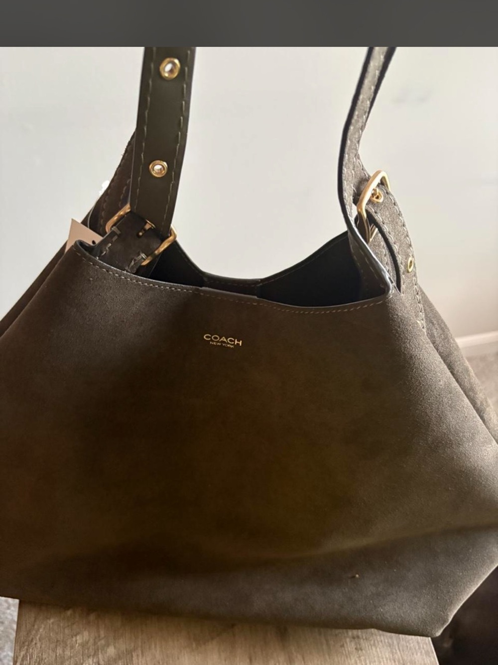 Coach Olive Suede Gramercy Tote 🫒 NWT - Picture 13 of 13
